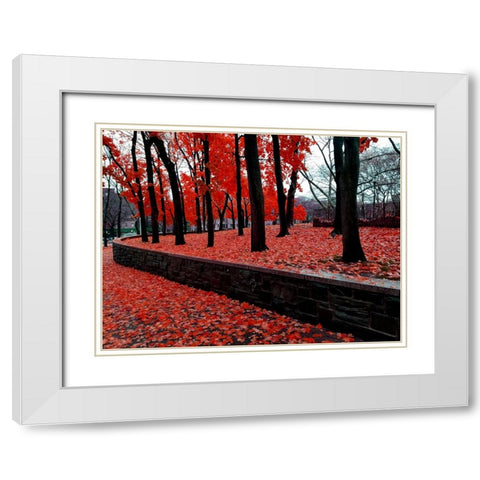 Silent Nature White Modern Wood Framed Art Print with Double Matting by Phillip, Jamie