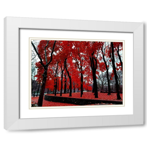 Silent Nature 3 White Modern Wood Framed Art Print with Double Matting by Phillip, Jamie