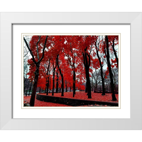 Silent Nature 3 White Modern Wood Framed Art Print with Double Matting by Phillip, Jamie