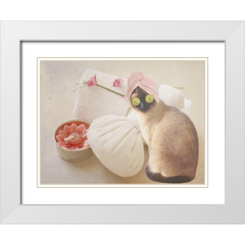 Members Only Cat Spa White Modern Wood Framed Art Print with Double Matting by Phillip, Jamie