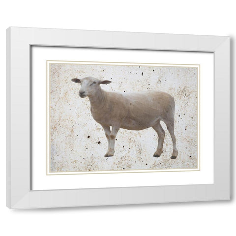 Sheepish White Modern Wood Framed Art Print with Double Matting by Phillip, Jamie