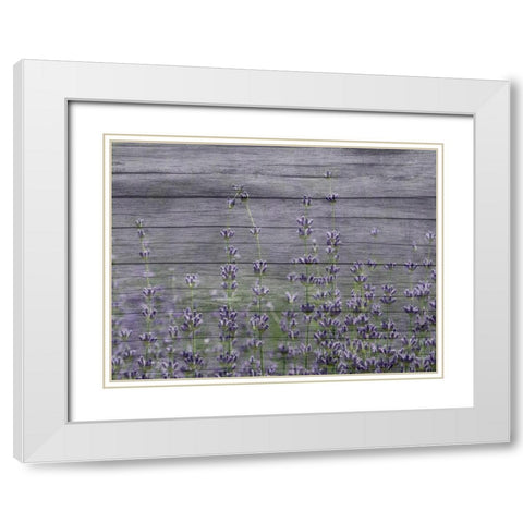 Lavender Field White Modern Wood Framed Art Print with Double Matting by Phillip, Jamie