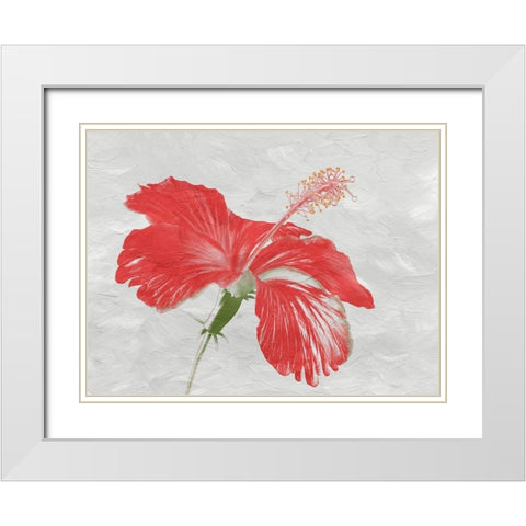 Red Hib White Modern Wood Framed Art Print with Double Matting by Phillip, Jamie