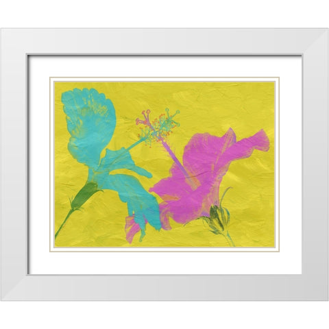 Colored Hib White Modern Wood Framed Art Print with Double Matting by Phillip, Jamie