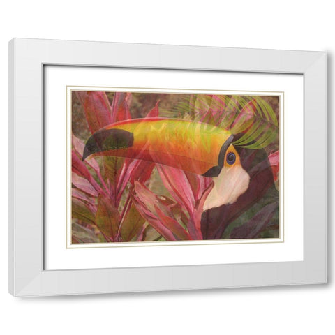 Island Bird White Modern Wood Framed Art Print with Double Matting by Phillip, Jamie