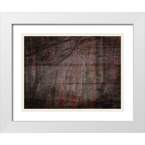 Fall Woods 2 White Modern Wood Framed Art Print with Double Matting by Phillip, Jamie
