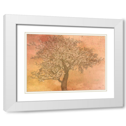 Seasons White Modern Wood Framed Art Print with Double Matting by Phillip, Jamie