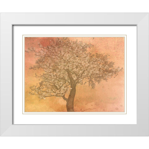 Seasons White Modern Wood Framed Art Print with Double Matting by Phillip, Jamie