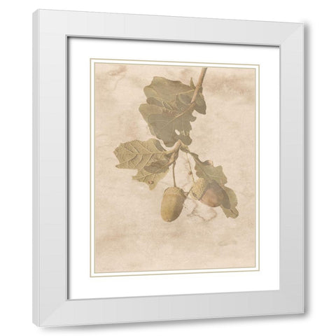On The Trail White Modern Wood Framed Art Print with Double Matting by Phillip, Jamie