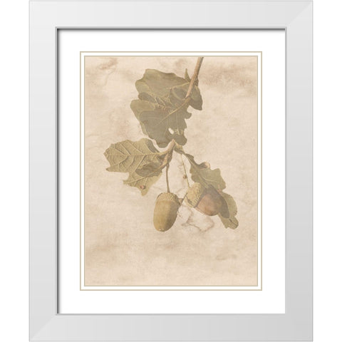 On The Trail White Modern Wood Framed Art Print with Double Matting by Phillip, Jamie