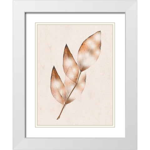 Brown Fall White Modern Wood Framed Art Print with Double Matting by Phillip, Jamie