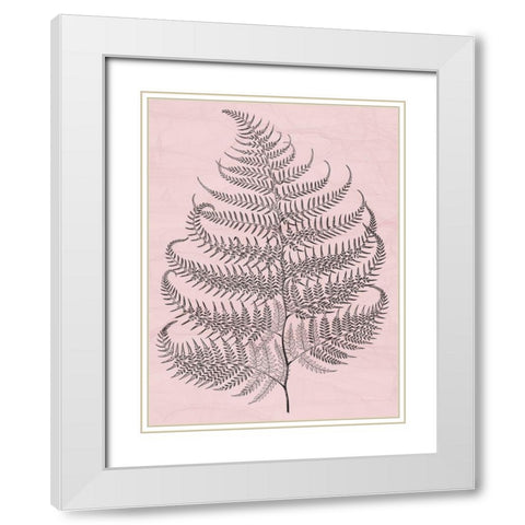 Plant White Modern Wood Framed Art Print with Double Matting by Phillip, Jamie