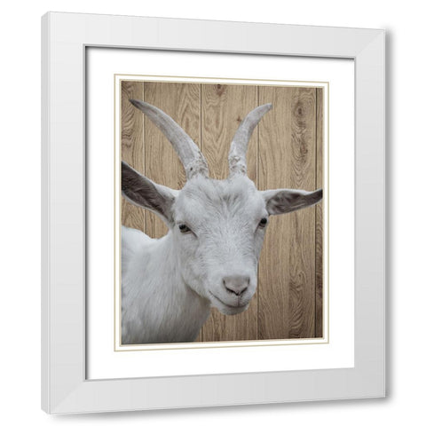 Goat White Modern Wood Framed Art Print with Double Matting by Phillip, Jamie