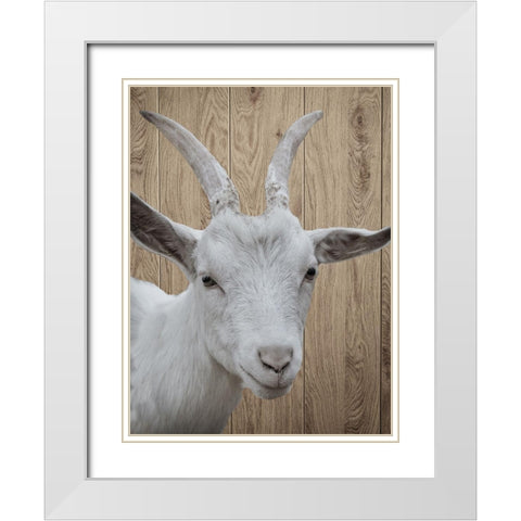 Goat White Modern Wood Framed Art Print with Double Matting by Phillip, Jamie