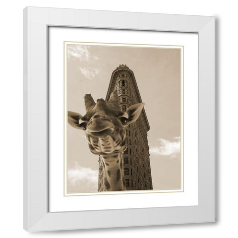 Way Over 2 White Modern Wood Framed Art Print with Double Matting by Phillip, Jamie