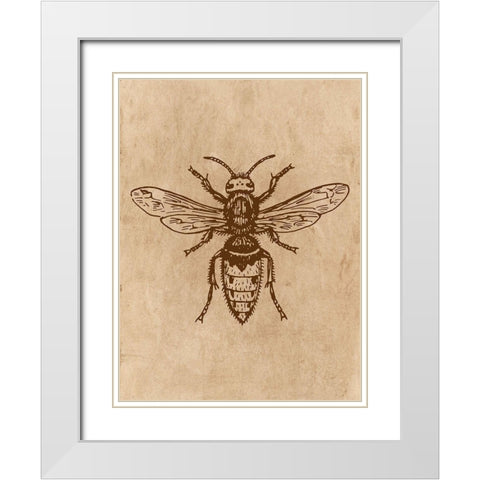 Specimen 1 White Modern Wood Framed Art Print with Double Matting by Phillip, Jamie