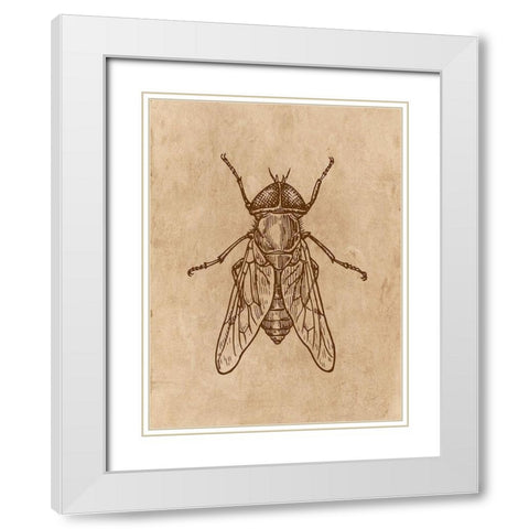 Specimen 2 White Modern Wood Framed Art Print with Double Matting by Phillip, Jamie