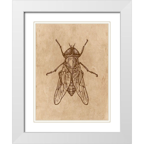 Specimen 2 White Modern Wood Framed Art Print with Double Matting by Phillip, Jamie