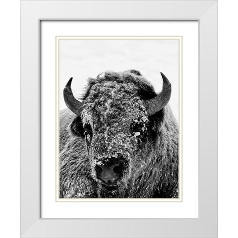 Snow Motion White Modern Wood Framed Art Print with Double Matting by Phillip, Jamie