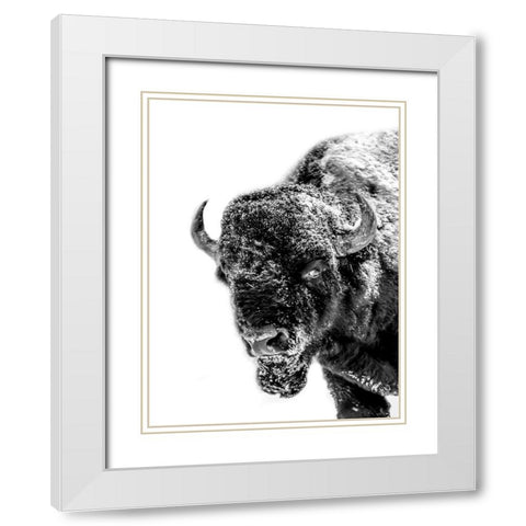 Snow Motion 2 White Modern Wood Framed Art Print with Double Matting by Phillip, Jamie