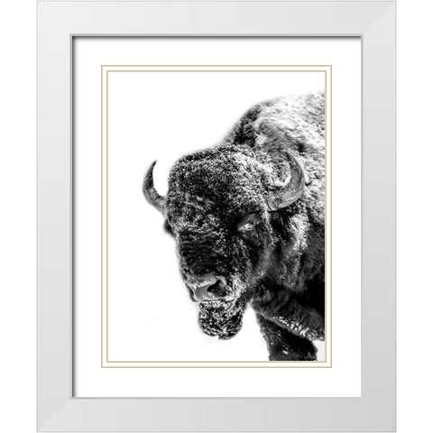 Snow Motion 2 White Modern Wood Framed Art Print with Double Matting by Phillip, Jamie