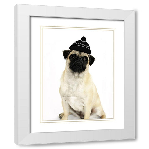 Cute Dog White Modern Wood Framed Art Print with Double Matting by Phillip, Jamie