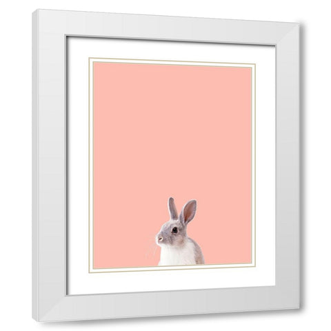 Bunny White Modern Wood Framed Art Print with Double Matting by Phillip, Jamie