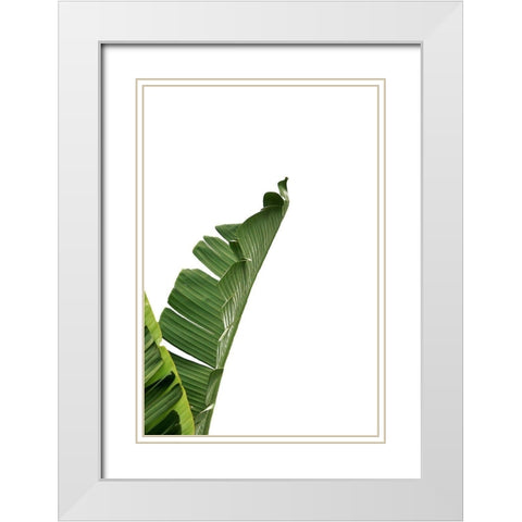 Banana Leavesa White Modern Wood Framed Art Print with Double Matting by Phillip, Jamie