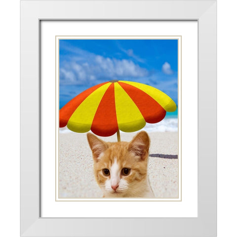 Beach Cat White Modern Wood Framed Art Print with Double Matting by Phillip, Jamie