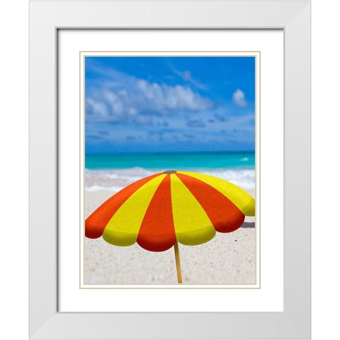 Beach Cat White Modern Wood Framed Art Print with Double Matting by Phillip, Jamie