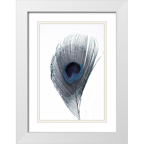 Feather White Modern Wood Framed Art Print with Double Matting by Phillip, Jamie