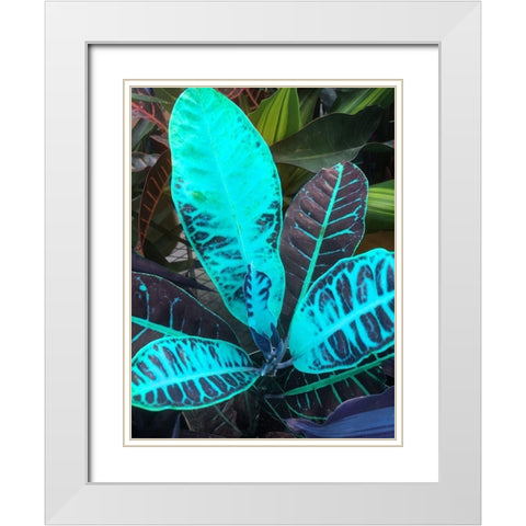 Tropical 1 White Modern Wood Framed Art Print with Double Matting by Phillip, Jamie