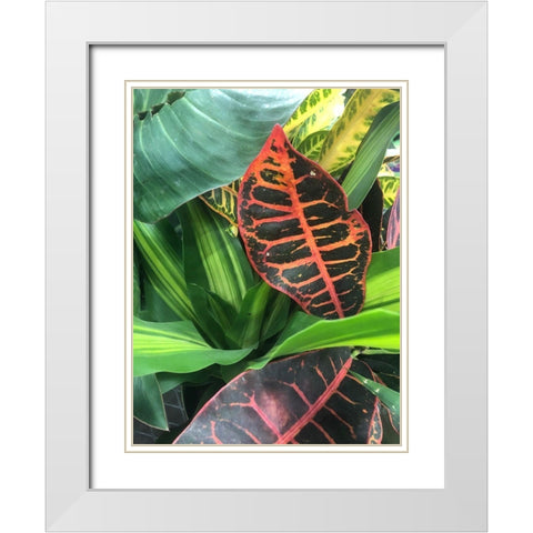 Tropical 4 White Modern Wood Framed Art Print with Double Matting by Phillip, Jamie
