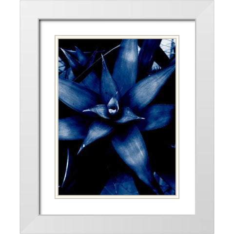 Tropical 6 White Modern Wood Framed Art Print with Double Matting by Phillip, Jamie