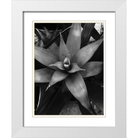 Tropical 7 White Modern Wood Framed Art Print with Double Matting by Phillip, Jamie
