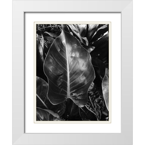 Tropical 8 White Modern Wood Framed Art Print with Double Matting by Phillip, Jamie