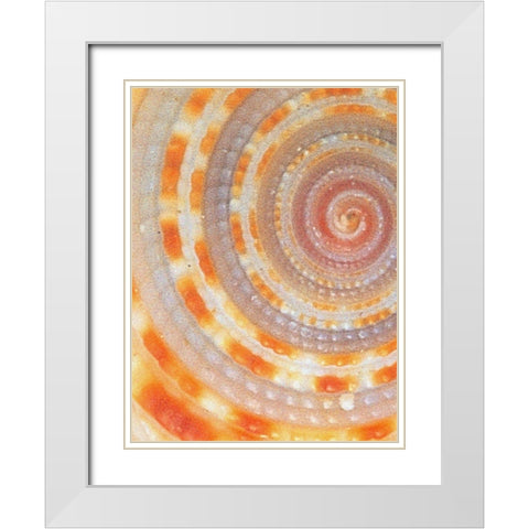 Wilks White Modern Wood Framed Art Print with Double Matting by Phillip, Jamie