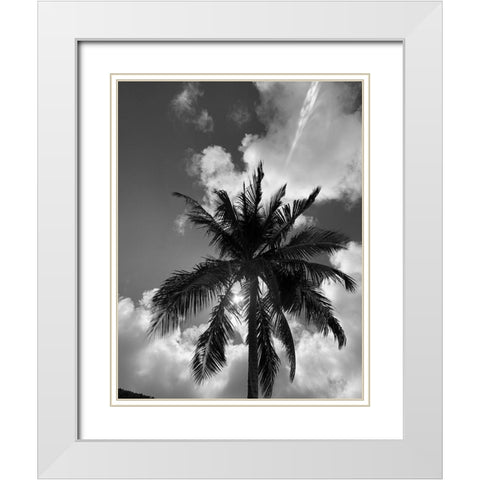 BVI 4 White Modern Wood Framed Art Print with Double Matting by Phillip, Jamie