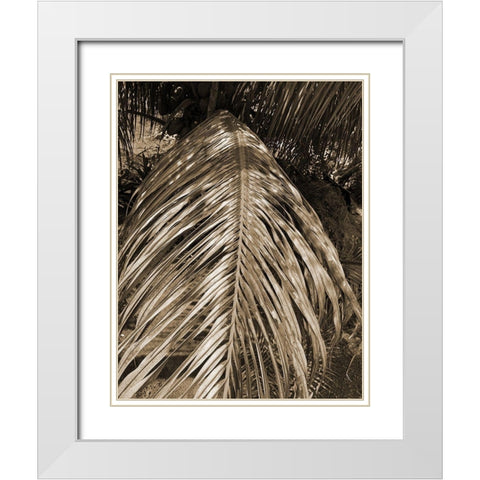 BVI 6 White Modern Wood Framed Art Print with Double Matting by Phillip, Jamie