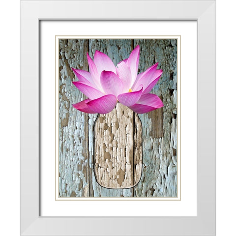 Potted Plant White Modern Wood Framed Art Print with Double Matting by Phillip, Jamie