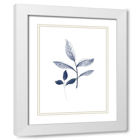 Blue Botanical 2 White Modern Wood Framed Art Print with Double Matting by Phillip, Jamie