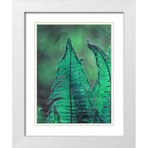 Grove 1 White Modern Wood Framed Art Print with Double Matting by Phillip, Jamie