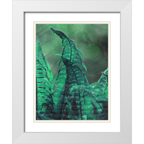 Grove White Modern Wood Framed Art Print with Double Matting by Phillip, Jamie