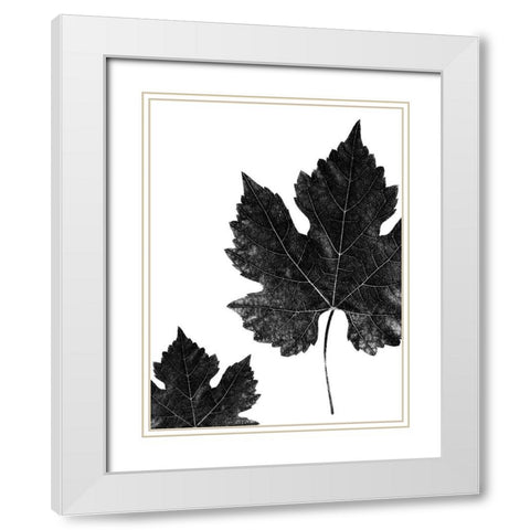 Shaded Leaf 1 White Modern Wood Framed Art Print with Double Matting by Phillip, Jamie