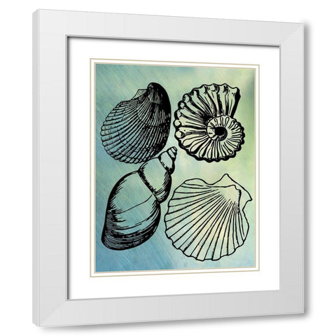 Bath Shells White Modern Wood Framed Art Print with Double Matting by Phillip, Jamie