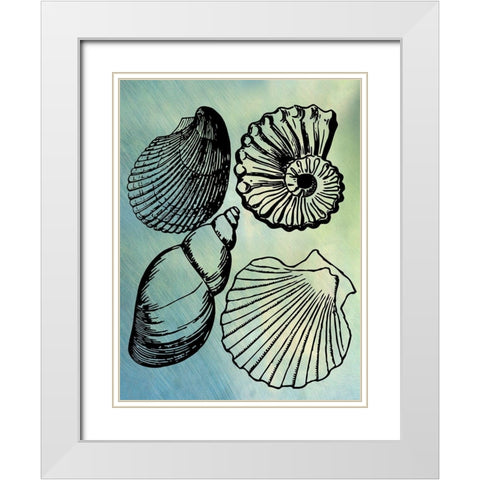 Bath Shells White Modern Wood Framed Art Print with Double Matting by Phillip, Jamie