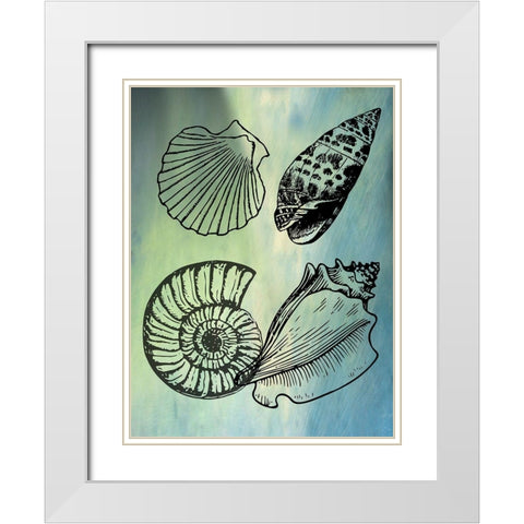 Bath SheIls White Modern Wood Framed Art Print with Double Matting by Phillip, Jamie