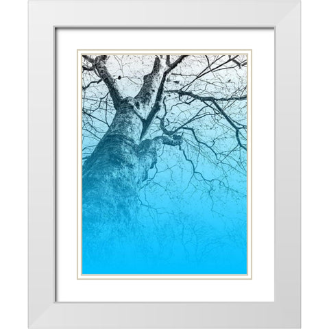 Blue Sky White Modern Wood Framed Art Print with Double Matting by Phillip, Jamie