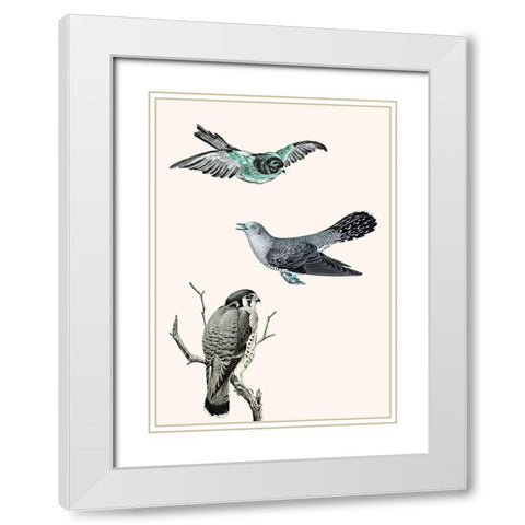 Birds 1 White Modern Wood Framed Art Print with Double Matting by Phillip, Jamie