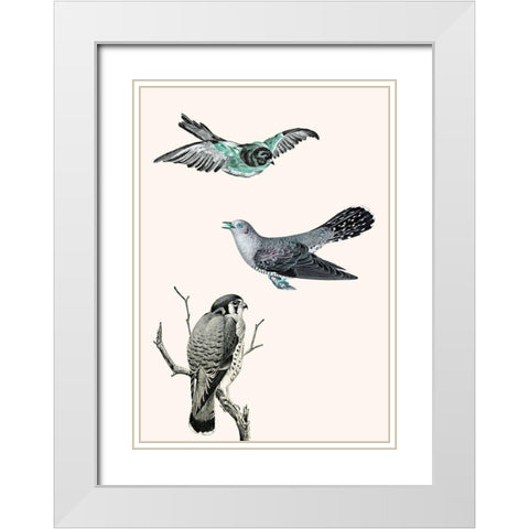 Birds 1 White Modern Wood Framed Art Print with Double Matting by Phillip, Jamie